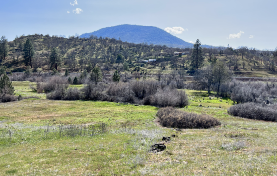 Beautiful 3.78-acre plot in Siskiyou County, California! Now ready for purchase!