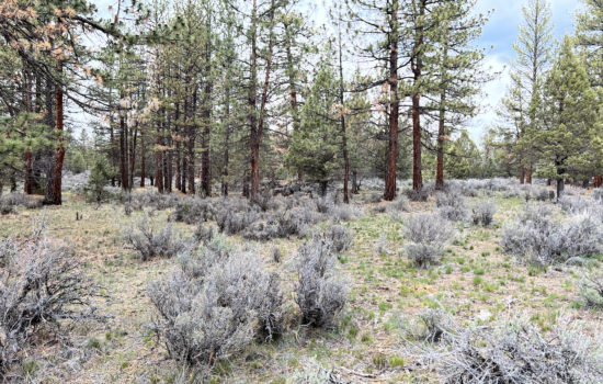 This 10- Acre Rough Diamond is here for the taking! Stop by today in Fabulous Siskiyou County, CA!