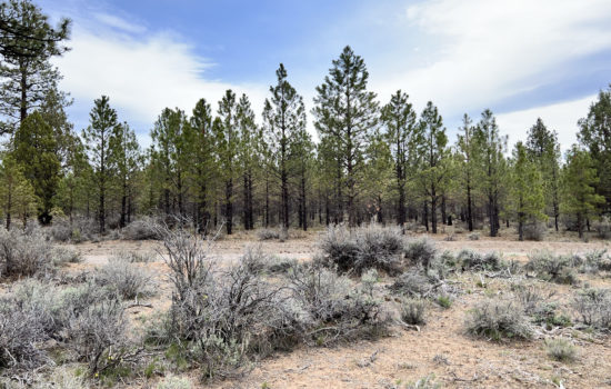 This 10- Acre Rough Diamond is here for the taking! Stop by today in Fabulous Siskiyou County, CA!