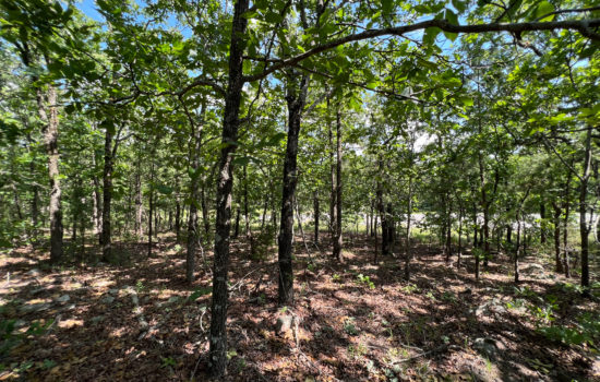 Great 5.96 acres Lot For Sale in Latimer County!