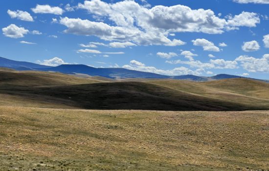 5.3 acres Lot For Sale in Park County, CO! Only $500 Down!