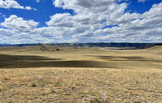15 acres Lot For Sale in Park County, CO! Only $1,000 Down!