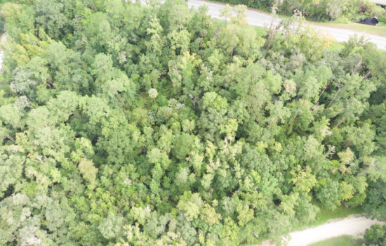 1.14 acre Lot For Sale in Putnam County, FL! Only $750 Down!