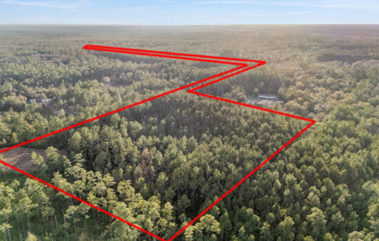 12.91 acres Lot For Sale in Marion County, FL!